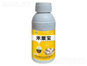 ���⽡׳��-���ڱ�-����ӯ