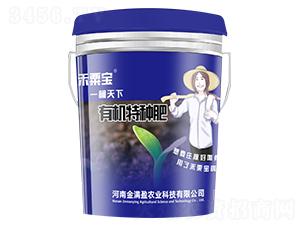 �л����ַ�-����ӯ