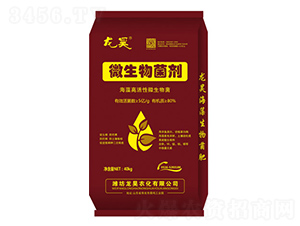 40kg΢�������-��껷�ҵ