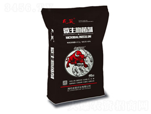 ΢���������40kg��-��껷�ҵ