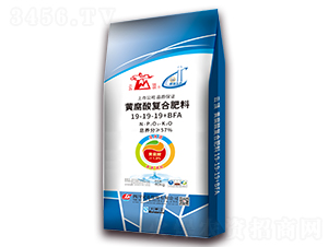 �Ƹ��Ḵ�Ϸ���19-19-19+BFA-�ƶ�-�Ĵ����