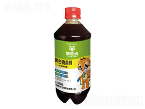 500ml΢�������-���ϻ�-����