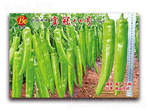 ���ڰ˺�-�߽�����-������ҵ