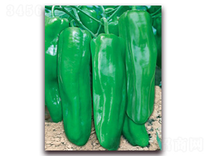 ��һ��908A-�ݽ�����-������ҵ