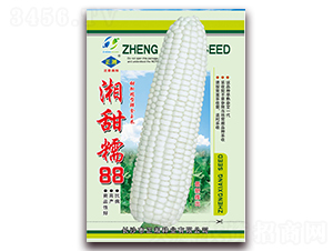 ����Ŵ88-Ŵ��������-������ҵ