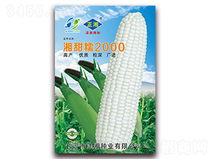 ����Ŵ2000-Ŵ��������-������ҵ