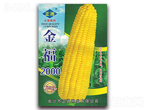 ��2000-Ŵ��������-������ҵ