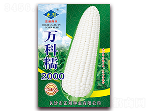 ���Ŵ2000-Ŵ��������-������ҵ