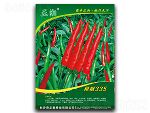 �����޽�335-���콷����-������ҵ