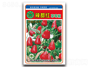 �������ݮ��-���콷����-������ҵ