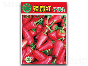 �������ӵ�ͷ-���콷����-������ҵ