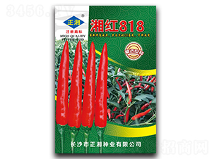 ���818-���콷����-������ҵ