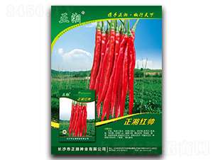 �����˧-�߽�����-������ҵ