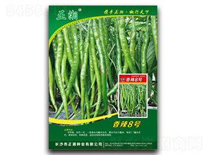 ��������8��-�߽�����-������ҵ