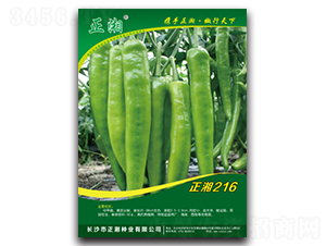 ����216-�߽�����-������ҵ