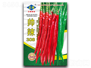 ˧��308-�߽�����-������ҵ