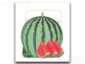 �㶼-��������-����ũҵ