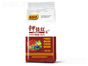 �ؼѺ죨���ڴ���أ�-ũ����-���ճ�