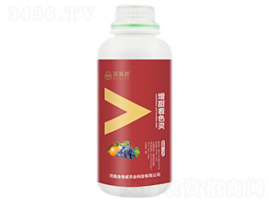 1200g������ɫ��-���о�-���ճ�