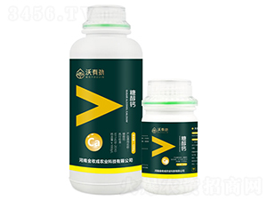 1200g�Ǵ���-���о�-���ճ�