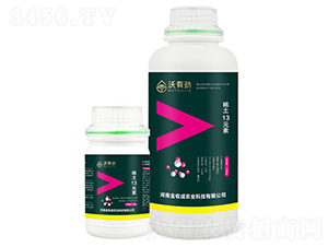 ϡ��13Ԫ�أ���ϣ�-���о�-���ճ�