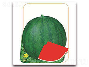 �հ�-��������-����ũҵ