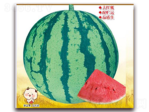 �㶼����-��������-����ũҵ