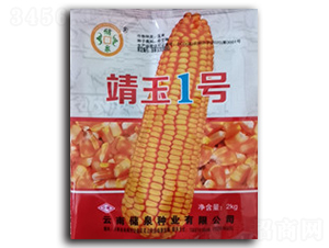 ����1��-��Ȫ��ҵ