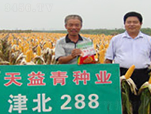 ��288-��������-����