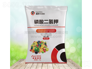 ��������-Ӣ������˹