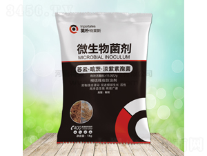 ΢�������-Ӣ������˹