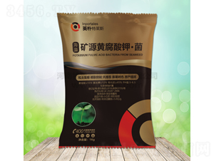 ���塤��Դ�Ƹ���ء���-Ӣ������˹