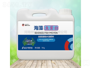5kg�����㵰��-Ӣ������˹