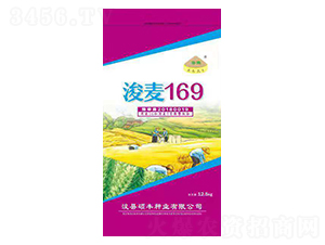 ����169-С������-˶��