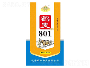 ����801-С������-˶��