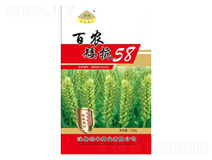 ��ũ����58-С������-˶��