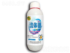 500ml������-�ϳ�