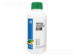 500ml��Ĥ-¡��ũҵ