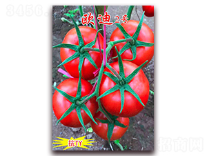 ŷ��2��-��ɫ��������-������ҵ