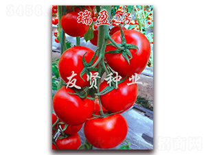 ��ӯ2��-��ɫ��������-������ҵ