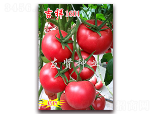 ����1601-��ɫ��������-������ҵ
