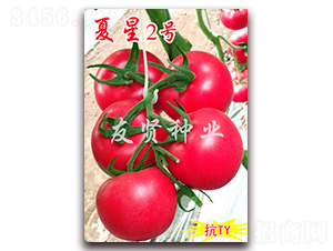 ����2��-��ɫ��������-������ҵ