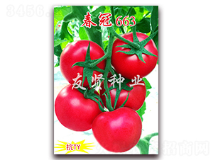 ����663-��ɫ��������-������ҵ