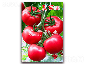 ����88-��ɫ��������-������ҵ