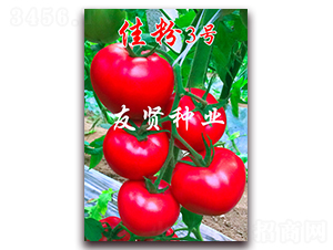 �ѷ�3��-��ɫ��������-������ҵ