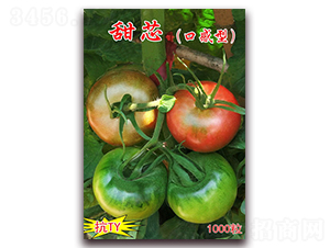 ��о-��ɫӣ��С��������-������ҵ