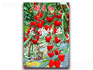 Խ�ĺ�-��ɫӣ��С��������-������ҵ