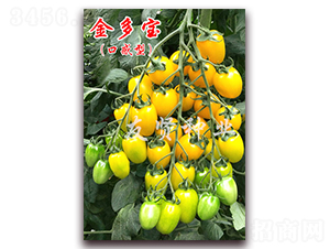 ��౦-��ɫӣ��С��������-������ҵ
