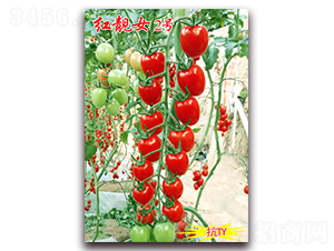 ����Ů2��-��TY����ӣ��С��������-������ҵ