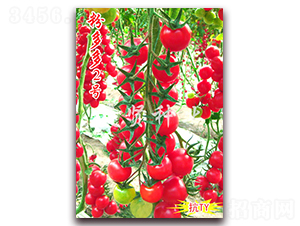 �۶��2��-��TY����ӣ��С��������-������ҵ